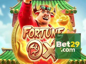 BET29 login — painel de entrada no app oficial